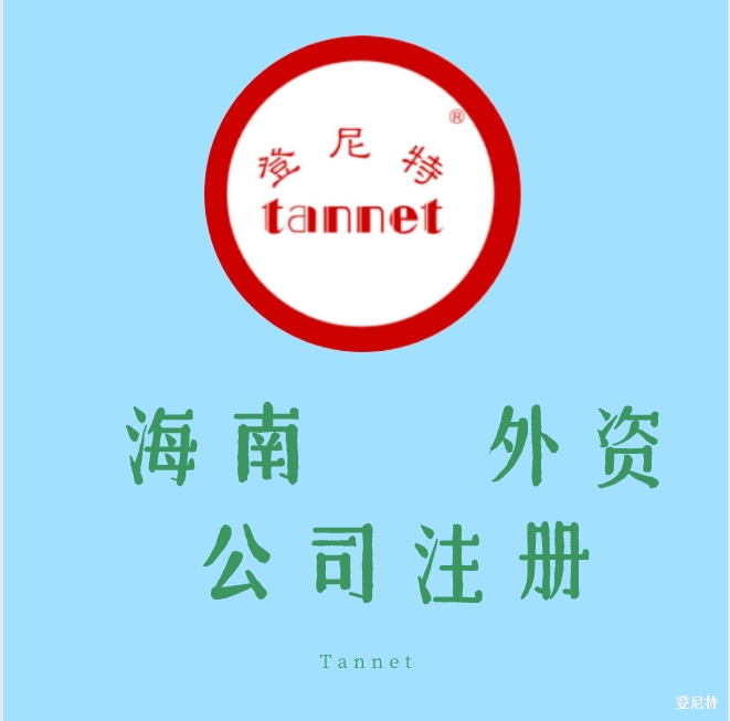 海南外商独资公司注册